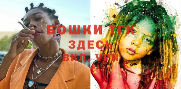 твердый Корсаков