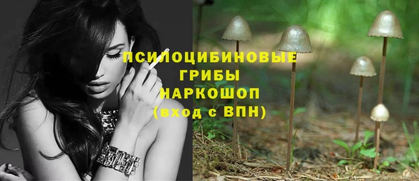 круглые Коряжма
